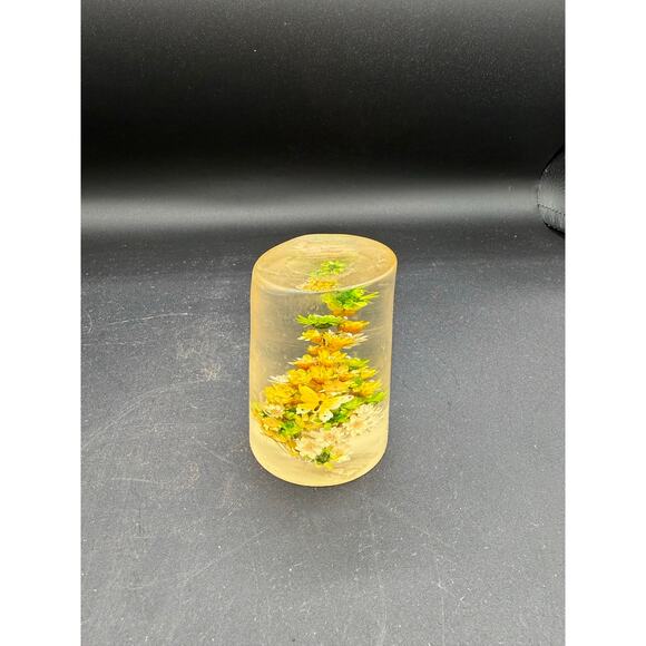 Retro Daisyglas Lucite Paperweight- Dried Flowers and small butterfly - Picture 7 of 8